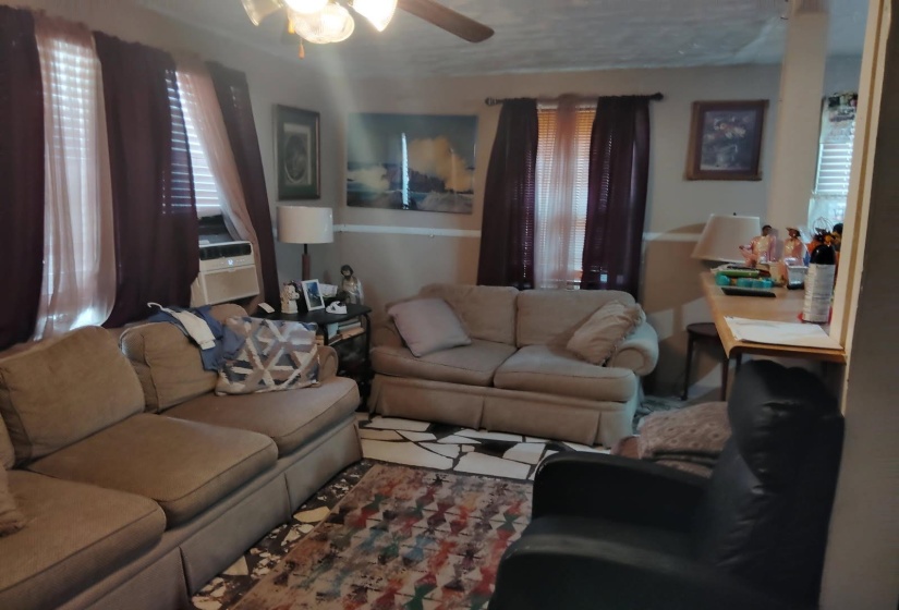 Living room featuring ceiling fan and plenty of natural light