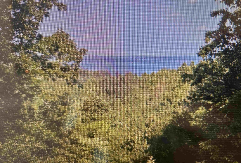 Water view with a heavily wooded area