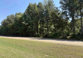 0 WATKINS RD, Millington, Tennessee 38053, ,Land,For Sale,WATKINS,10203950