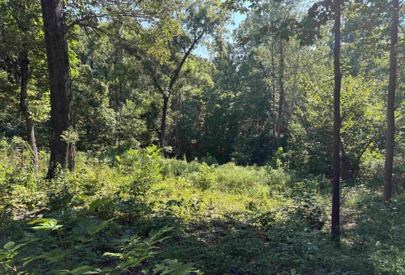 0 WATKINS RD, Millington, Tennessee 38053, ,Land,For Sale,WATKINS,10203950