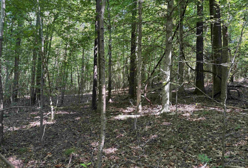 0 WATKINS RD, Millington, Tennessee 38053, ,Land,For Sale,WATKINS,10203950