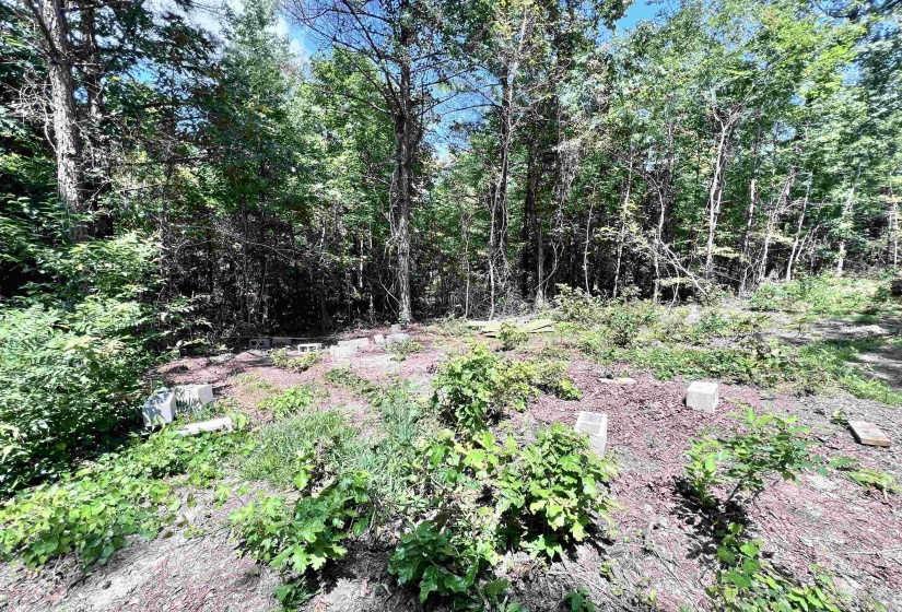 View of woods