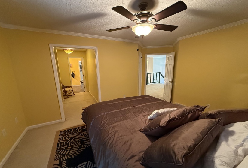 Carpeted bedroom featuring crown molding, a textured ceiling, and ceiling fan