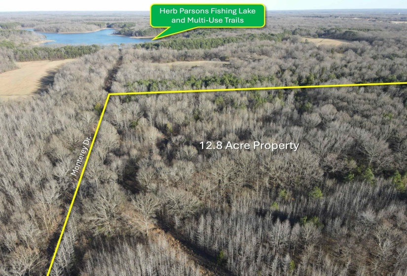 385 MONTEREY DR, Unincorporated, Tennessee 38017, 0 , 0 ,0,Land,For Sale,MONTEREY,0,10204341