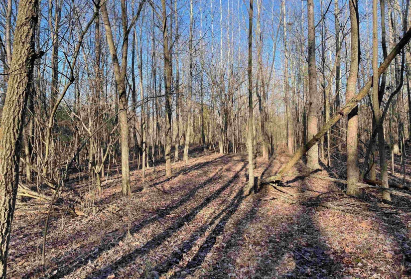 385 MONTEREY DR, Unincorporated, Tennessee 38017, 0 , 0 ,0,Land,For Sale,MONTEREY,0,10204341