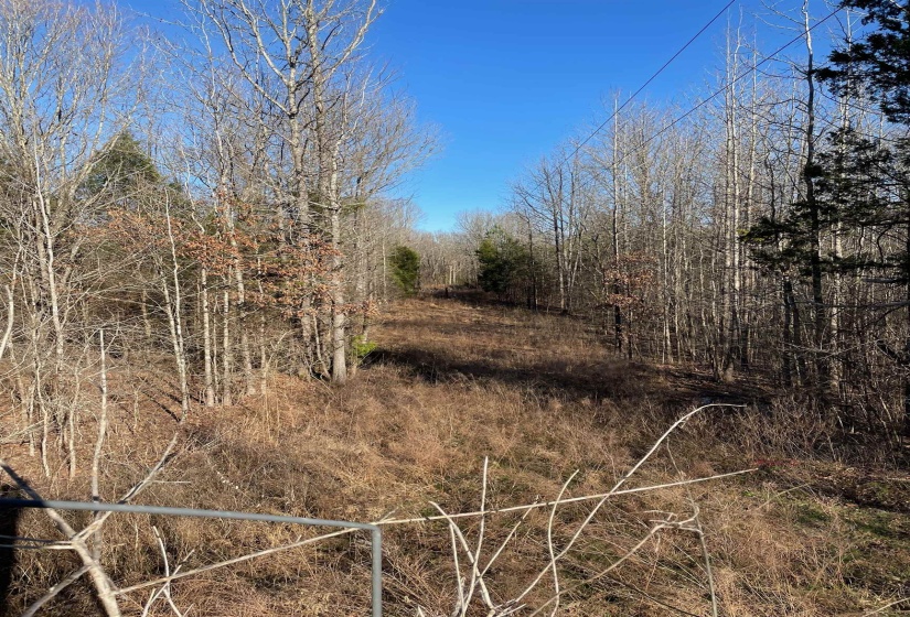 385 MONTEREY DR, Unincorporated, Tennessee 38017, 0 , 0 ,0,Land,For Sale,MONTEREY,0,10204341