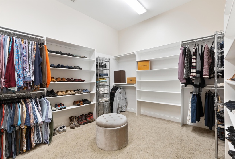 Walk in closet with carpet
