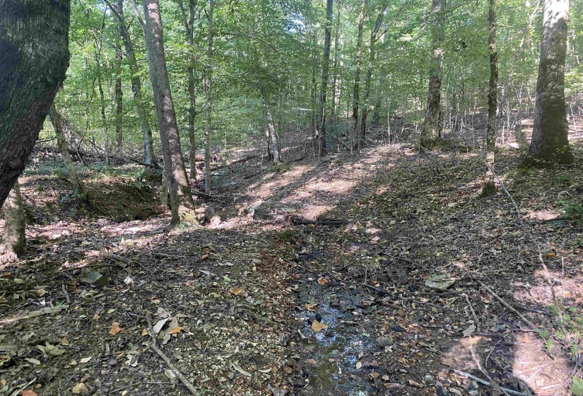 1 FRIENDSHIP LOOP, Savannah, Tennessee 38372, 0 , 0 ,0,Land,For Sale,FRIENDSHIP,0,10204604