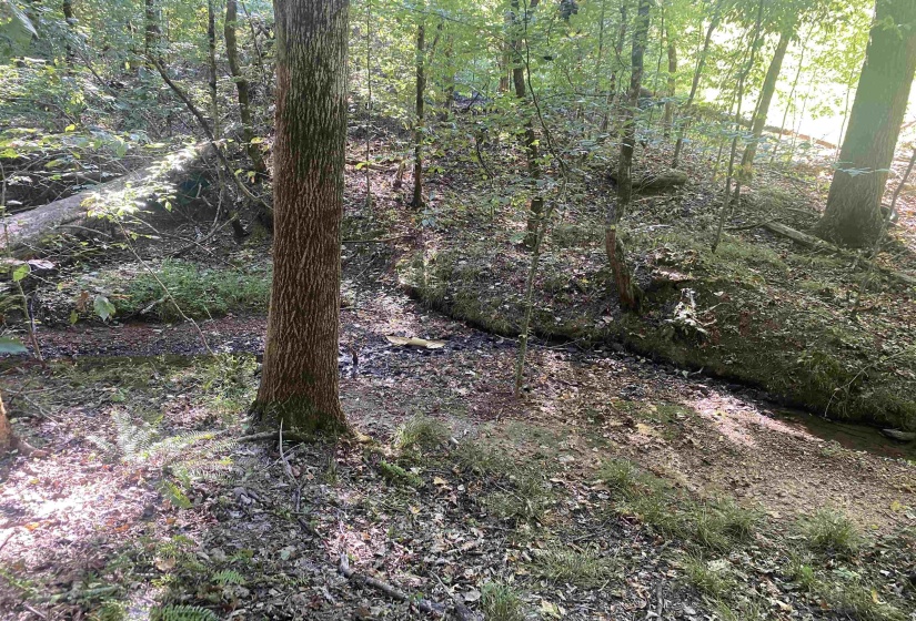 1 FRIENDSHIP LOOP, Savannah, Tennessee 38372, 0 , 0 ,0,Land,For Sale,FRIENDSHIP,0,10204604