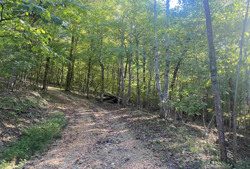1 FRIENDSHIP LOOP, Savannah, Tennessee 38372, 0 , 0 ,0,Land,For Sale,FRIENDSHIP,0,10204604