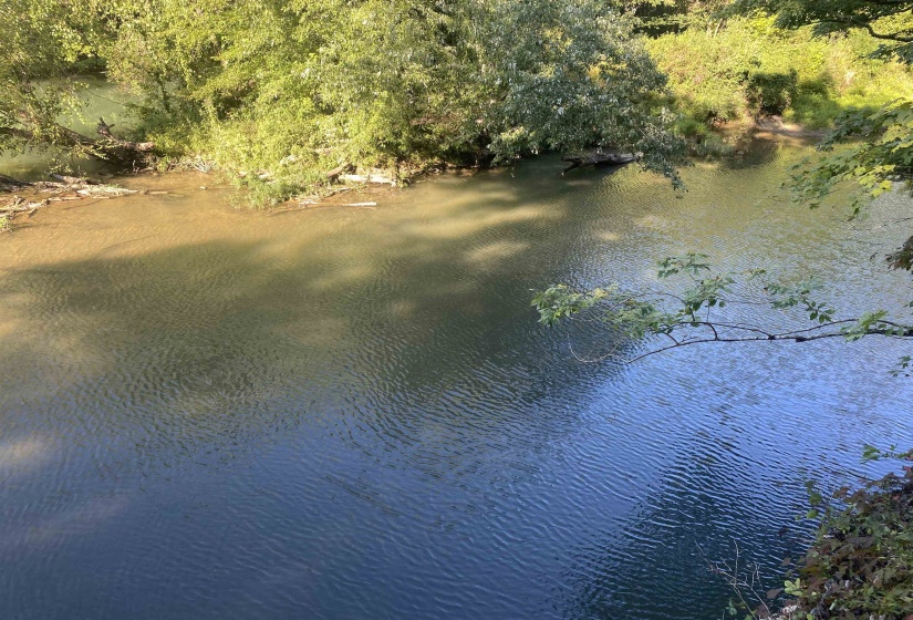 1 FRIENDSHIP LOOP, Savannah, Tennessee 38372, 0 , 0 ,0,Land,For Sale,FRIENDSHIP,0,10204604