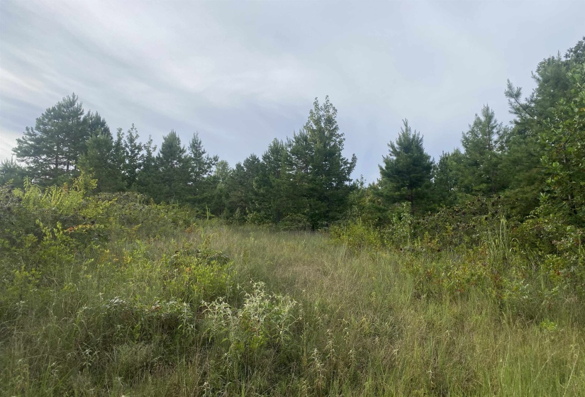 1 BRUTON RD, Savannah, Tennessee 38372, 0 , 0 ,0,Land,For Sale,BRUTON,0,10204626
