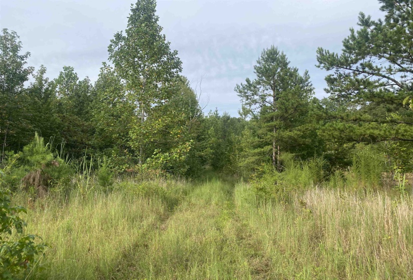 1 BRUTON RD, Savannah, Tennessee 38372, 0 , 0 ,0,Land,For Sale,BRUTON,0,10204626