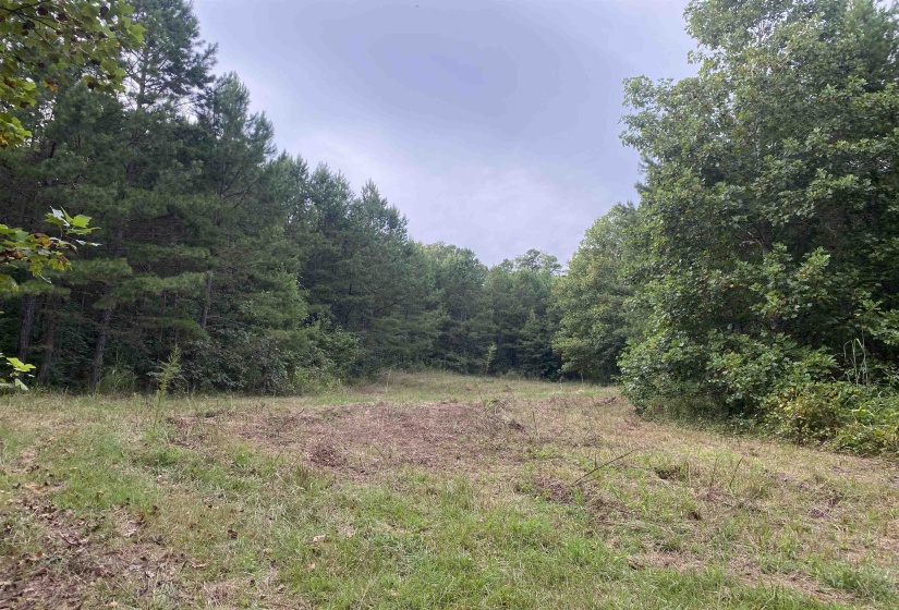 1 BRUTON RD, Savannah, Tennessee 38372, 0 , 0 ,0,Land,For Sale,BRUTON,0,10204626