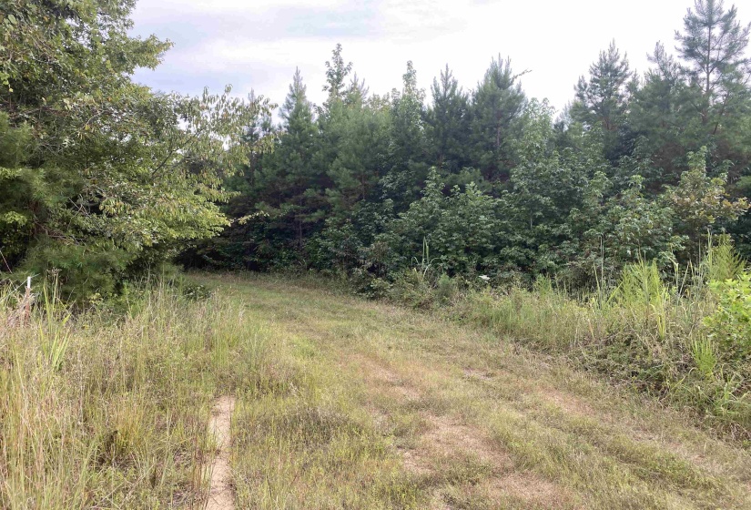 1 BRUTON RD, Savannah, Tennessee 38372, 0 , 0 ,0,Land,For Sale,BRUTON,0,10204626