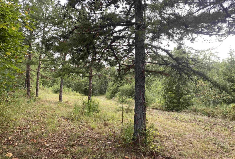 1 BRUTON RD, Savannah, Tennessee 38372, 0 , 0 ,0,Land,For Sale,BRUTON,0,10204626