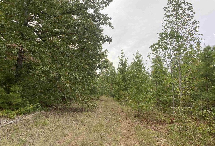 1 BRUTON RD, Savannah, Tennessee 38372, 0 , 0 ,0,Land,For Sale,BRUTON,0,10204626