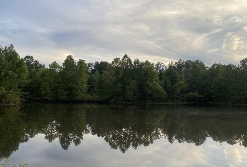1 BRUTON RD, Savannah, Tennessee 38372, 0 , 0 ,0,Land,For Sale,BRUTON,0,10204626