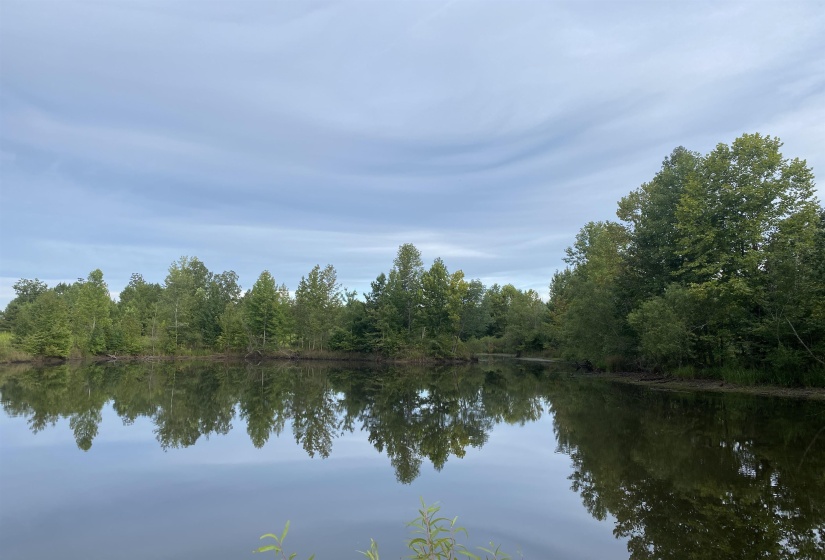 1 BRUTON RD, Savannah, Tennessee 38372, 0 , 0 ,0,Land,For Sale,BRUTON,0,10204626