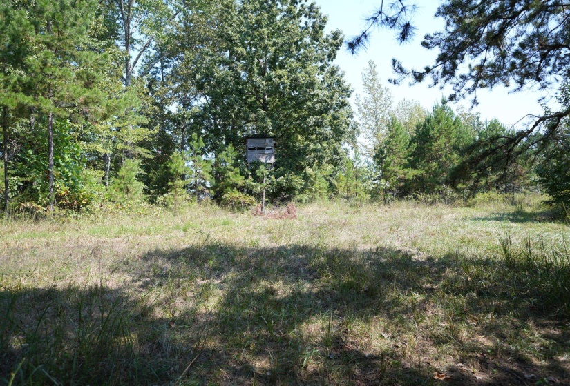 1 BRUTON RD, Savannah, Tennessee 38372, 0 , 0 ,0,Land,For Sale,BRUTON,0,10204626