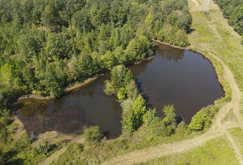 1 BRUTON RD, Savannah, Tennessee 38372, 0 , 0 ,0,Land,For Sale,BRUTON,0,10204626