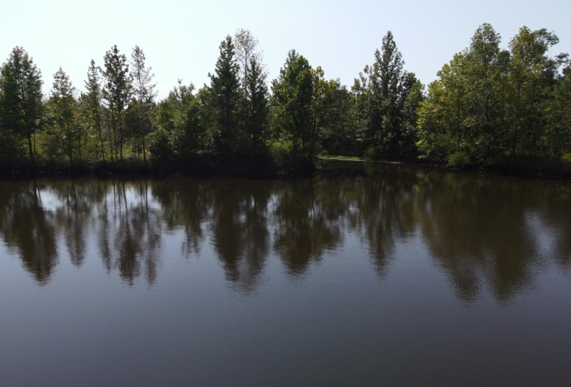 1 BRUTON RD, Savannah, Tennessee 38372, 0 , 0 ,0,Land,For Sale,BRUTON,0,10204626