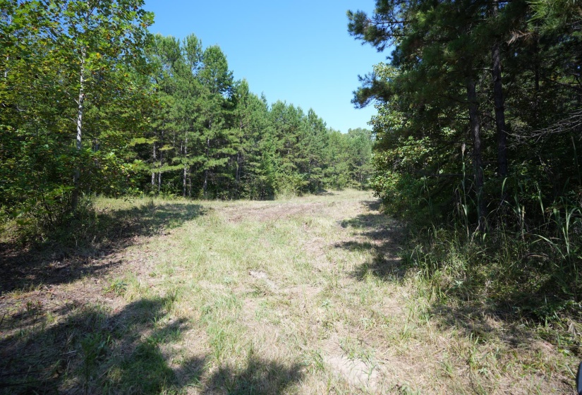 1 BRUTON RD, Savannah, Tennessee 38372, 0 , 0 ,0,Land,For Sale,BRUTON,0,10204626