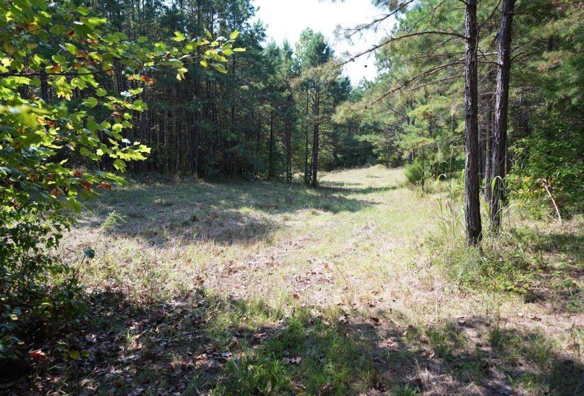 1 BRUTON RD, Savannah, Tennessee 38372, 0 , 0 ,0,Land,For Sale,BRUTON,0,10204626