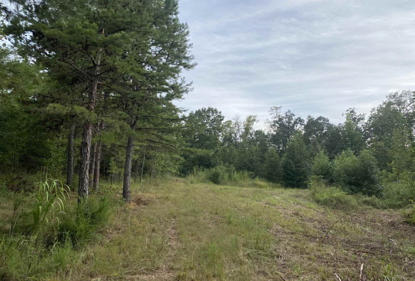 1 BRUTON RD, Savannah, Tennessee 38372, 0 , 0 ,0,Land,For Sale,BRUTON,0,10204626
