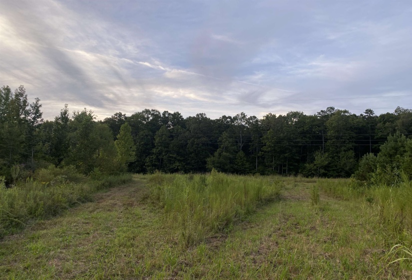 1 BRUTON RD, Savannah, Tennessee 38372, 0 , 0 ,0,Land,For Sale,BRUTON,0,10204626