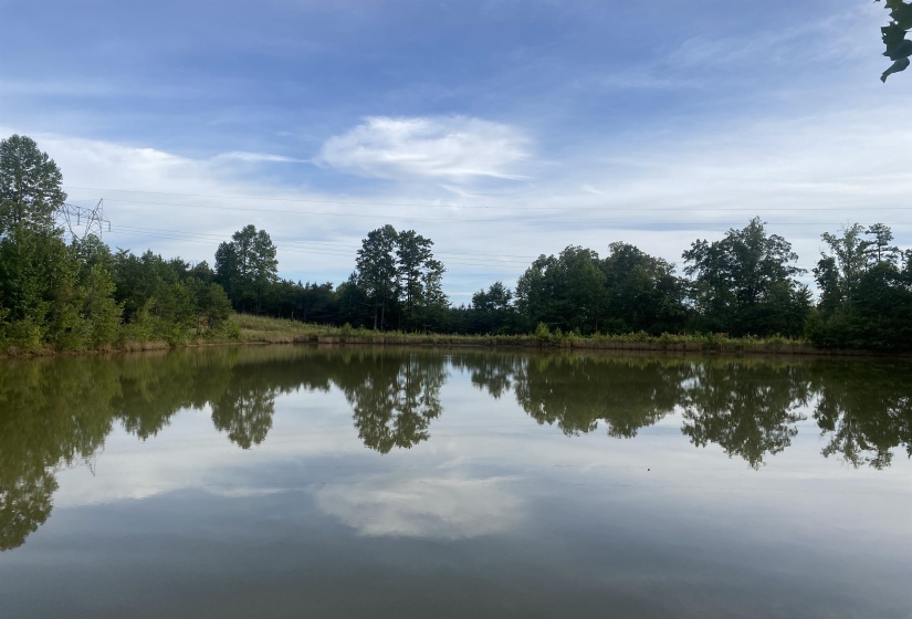 1 BRUTON RD, Savannah, Tennessee 38372, 0 , 0 ,0,Land,For Sale,BRUTON,0,10204626