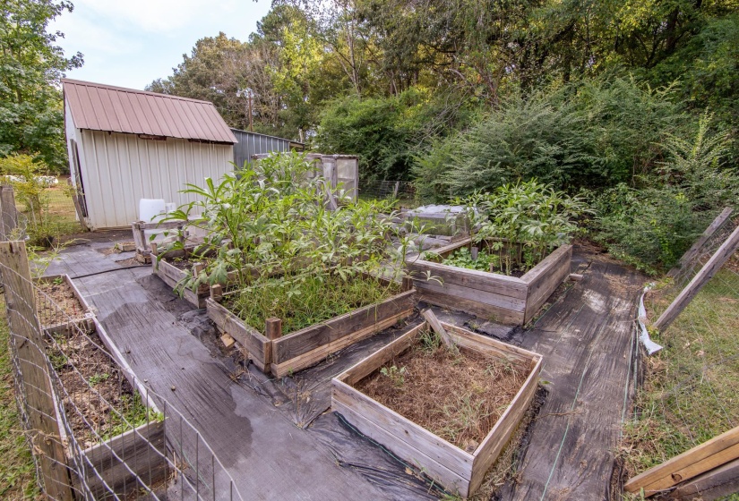 10 HARDY RD, Adamsville, Tennessee 38310-9999, 3 Bedrooms Bedrooms, 8 Rooms Rooms,2 BathroomsBathrooms,Residential,For Sale,HARDY,10204771