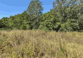 200 HARDIN RD, Savannah, Tennessee 38372, ,Land,For Sale,HARDIN,10204828