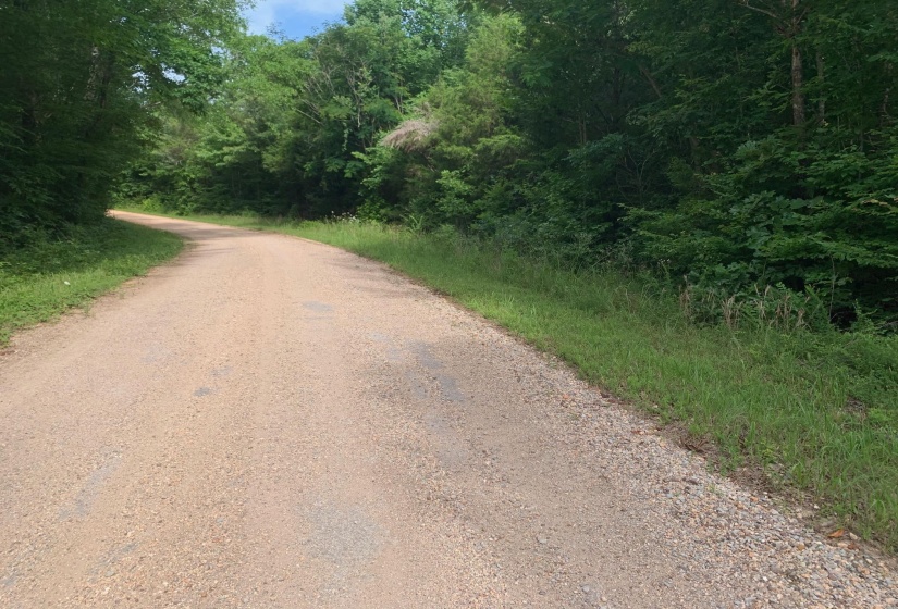 CAVE HOLLOW LN, Savannah, Tennessee 38372, ,Land,For Sale,10204857