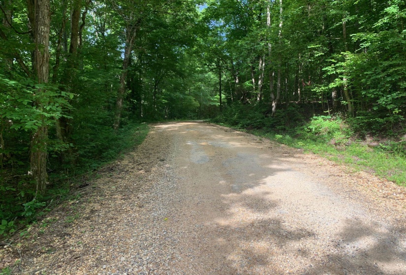 CAVE HOLLOW LN, Savannah, Tennessee 38372, ,Land,For Sale,10204857