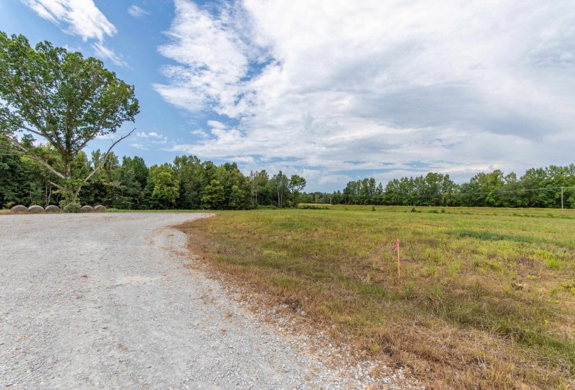 680 DUCK RD, Sugar Tree, Tennessee 38380, ,Land,For Sale,DUCK,10204896