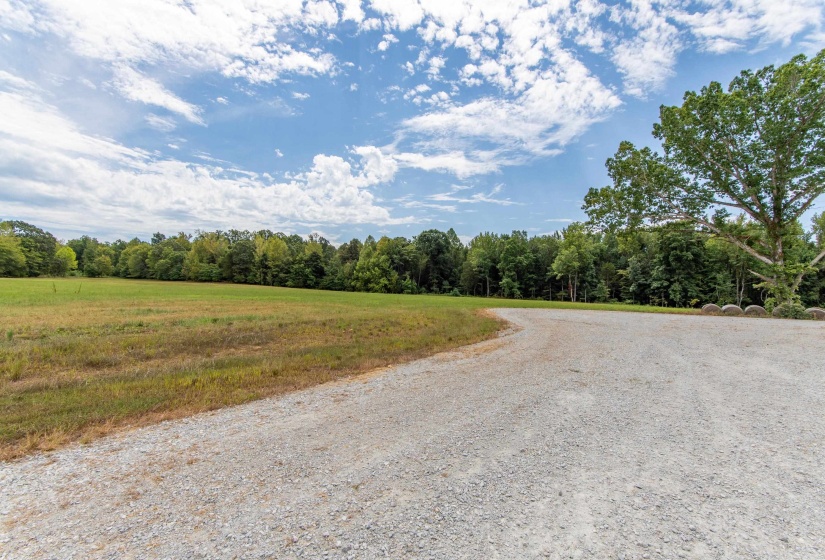 680 DUCK RD, Sugar Tree, Tennessee 38380, ,Land,For Sale,DUCK,10204896