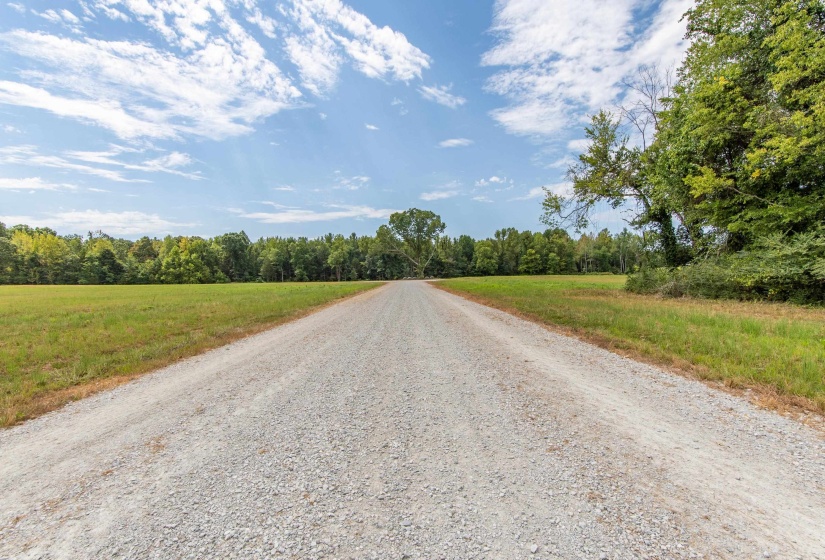 680 DUCK RD, Sugar Tree, Tennessee 38380, ,Land,For Sale,DUCK,10204896