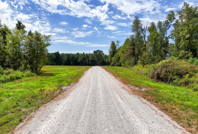 680 DUCK RD, Sugar Tree, Tennessee 38380, ,Land,For Sale,DUCK,10204896