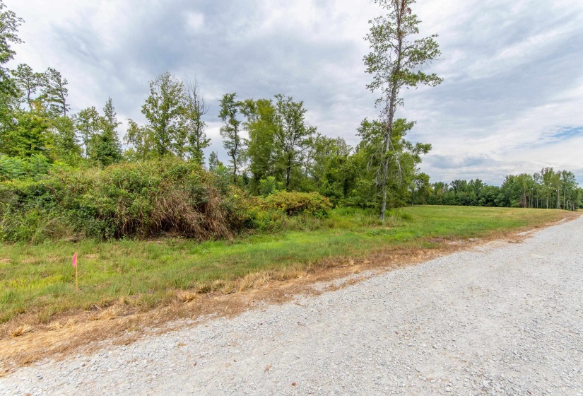 680 DUCK RD, Sugar Tree, Tennessee 38380, ,Land,For Sale,DUCK,10204896
