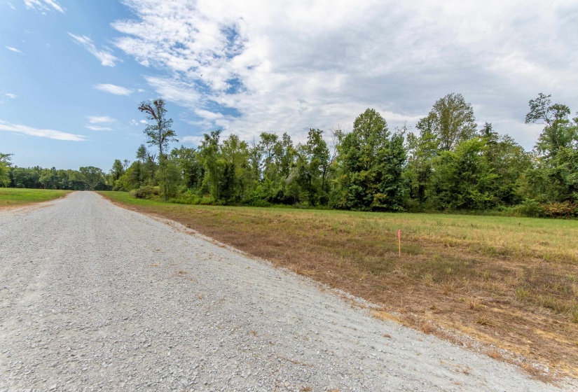 680 DUCK RD, Sugar Tree, Tennessee 38380, ,Land,For Sale,DUCK,10204896
