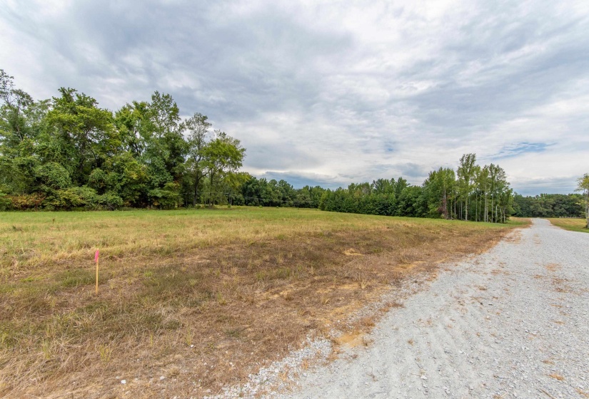 680 DUCK RD, Sugar Tree, Tennessee 38380, ,Land,For Sale,DUCK,10204896