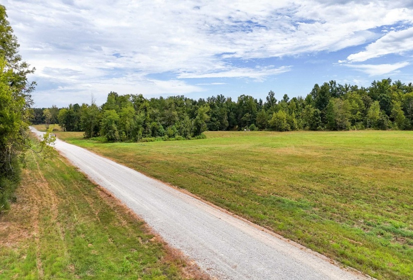 680 DUCK RD, Sugar Tree, Tennessee 38380, ,Land,For Sale,DUCK,10204896