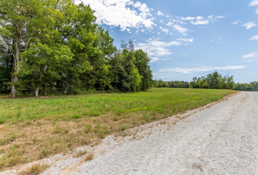 680 DUCK RD, Sugar Tree, Tennessee 38380, ,Land,For Sale,DUCK,10204896
