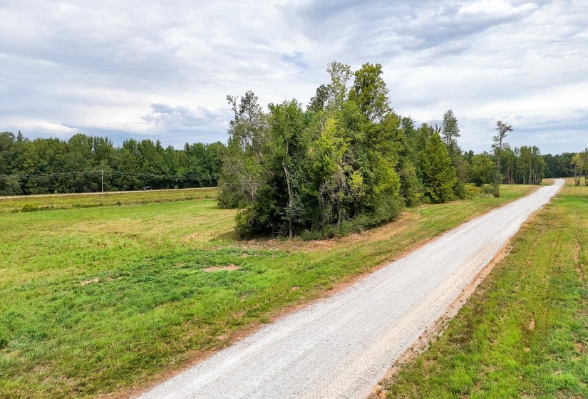 680 DUCK RD, Sugar Tree, Tennessee 38380, ,Land,For Sale,DUCK,10204896