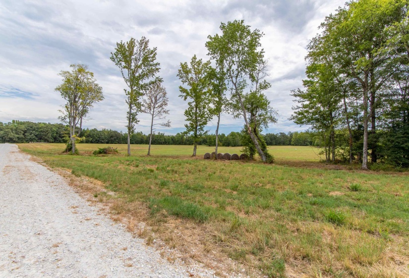 680 DUCK RD, Sugar Tree, Tennessee 38380, ,Land,For Sale,DUCK,10204896