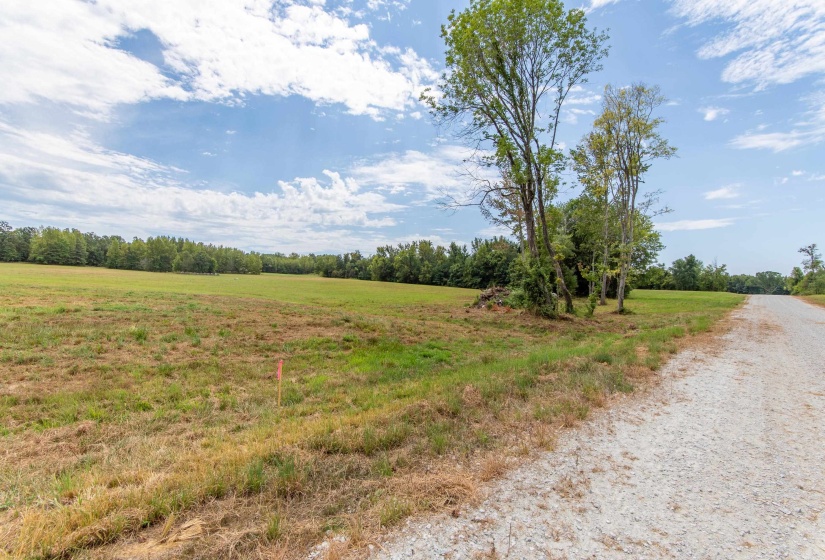 680 DUCK RD, Sugar Tree, Tennessee 38380, ,Land,For Sale,DUCK,10204896