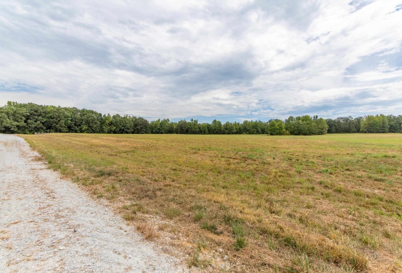 680 DUCK RD, Sugar Tree, Tennessee 38380, ,Land,For Sale,DUCK,10204896