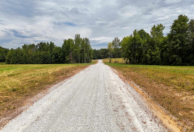 680 DUCK RD, Sugar Tree, Tennessee 38380, ,Land,For Sale,DUCK,10204896