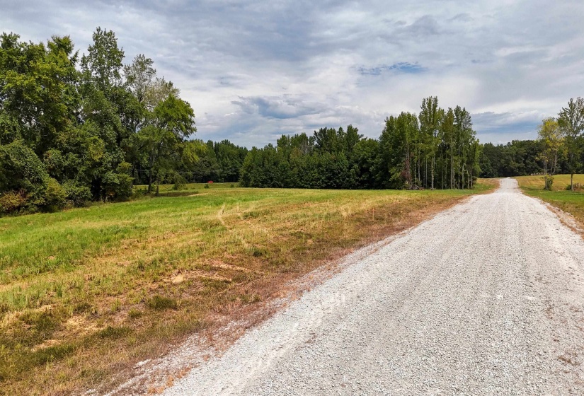 680 DUCK RD, Sugar Tree, Tennessee 38380, ,Land,For Sale,DUCK,10204896